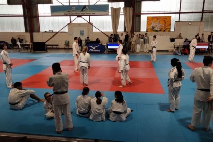 11 judokas s'initient à l'arbitrage