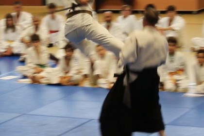 Les jujitsukas font leur démonstration