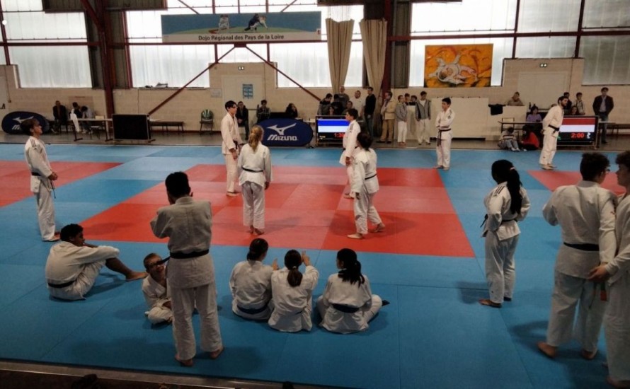 11 judokas s'initient à l'arbitrage